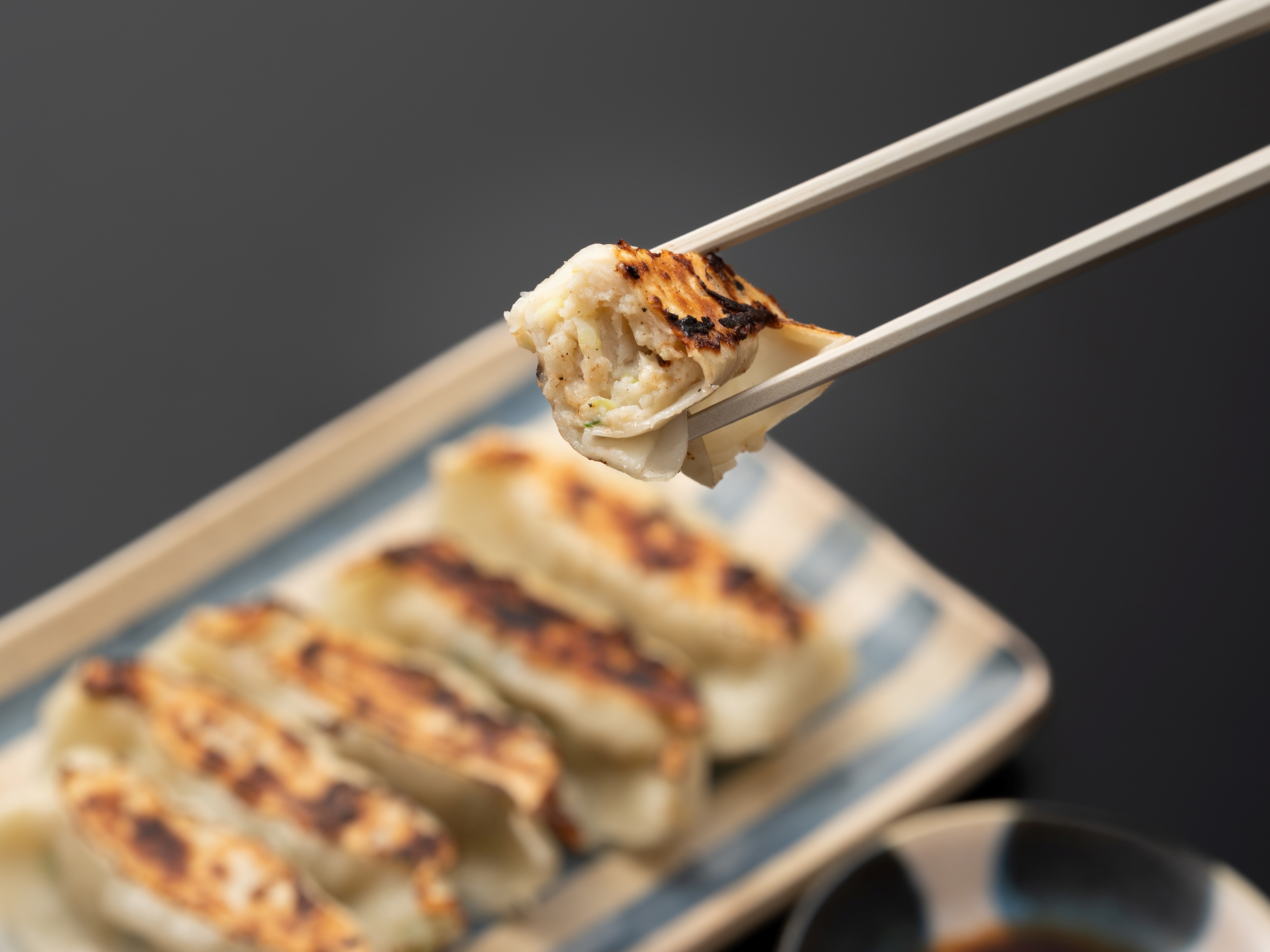 【魚と野菜だけなのでヘルシー】出水田鮮魚のおさかな餃子（８個×４パック）